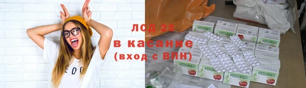 PSILOCYBIN Строитель