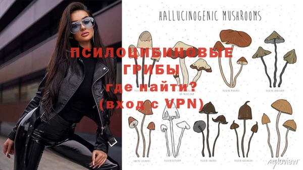 мяу мяу кристалл Елизово