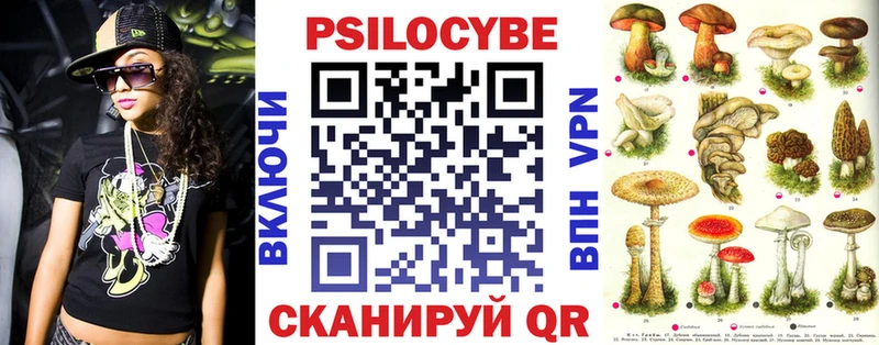 Купить где  Ладушкин  Галлюциногенные грибы GOLDEN TEACHER 